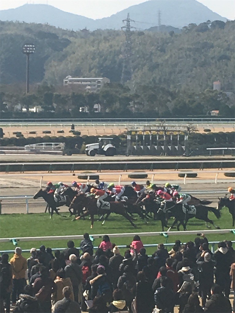 f:id:cutie_blue:20190218113220j:image