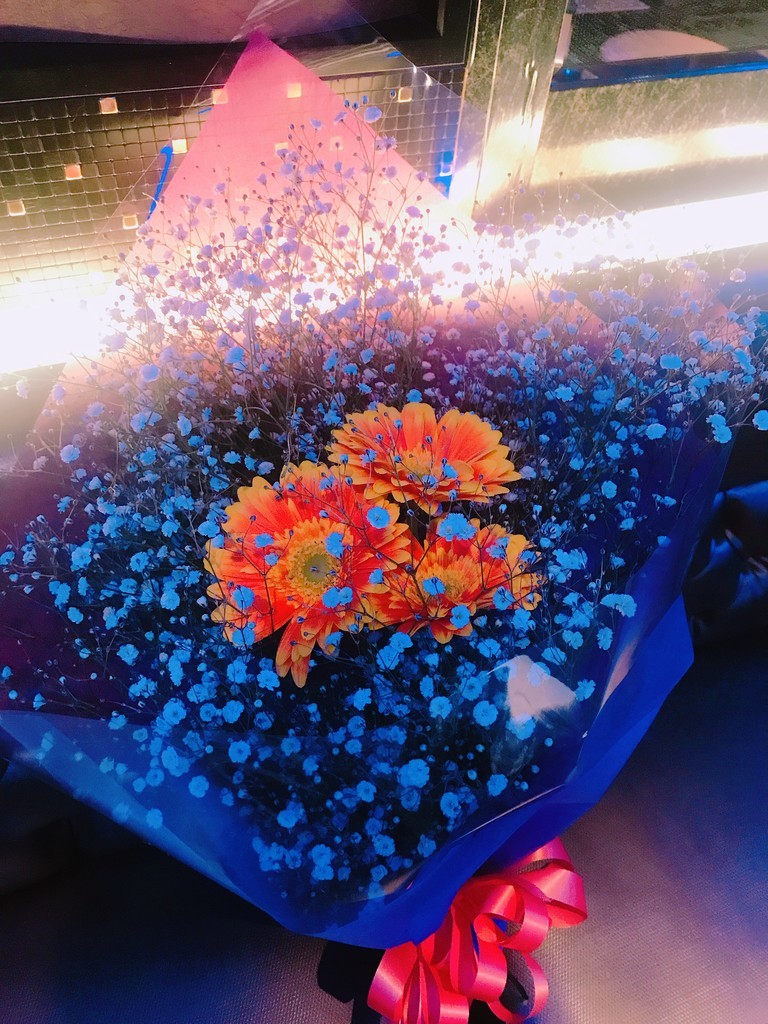 f:id:cutie_blue:20190301141025j:plain f:id:cutie_blue:20190301141025j:plain