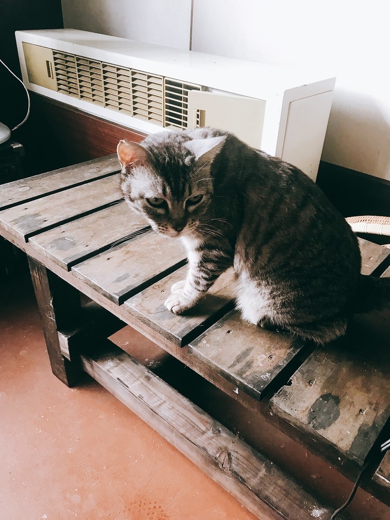 f:id:cutie_blue:20190311121922j:plain