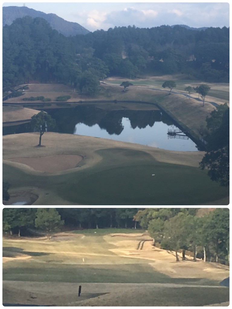 f:id:cutie_blue:20190311160938j:image f:id:cutie_blue:20190311160938j:image