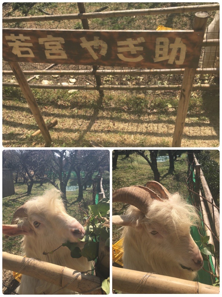 f:id:cutie_blue:20190311161453j:image f:id:cutie_blue:20190311161453j:image