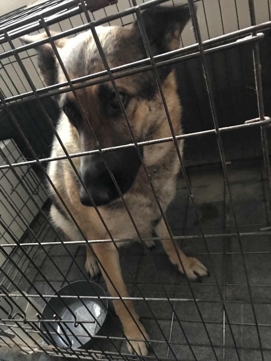 f:id:cutie_blue:20190322152314j:plain