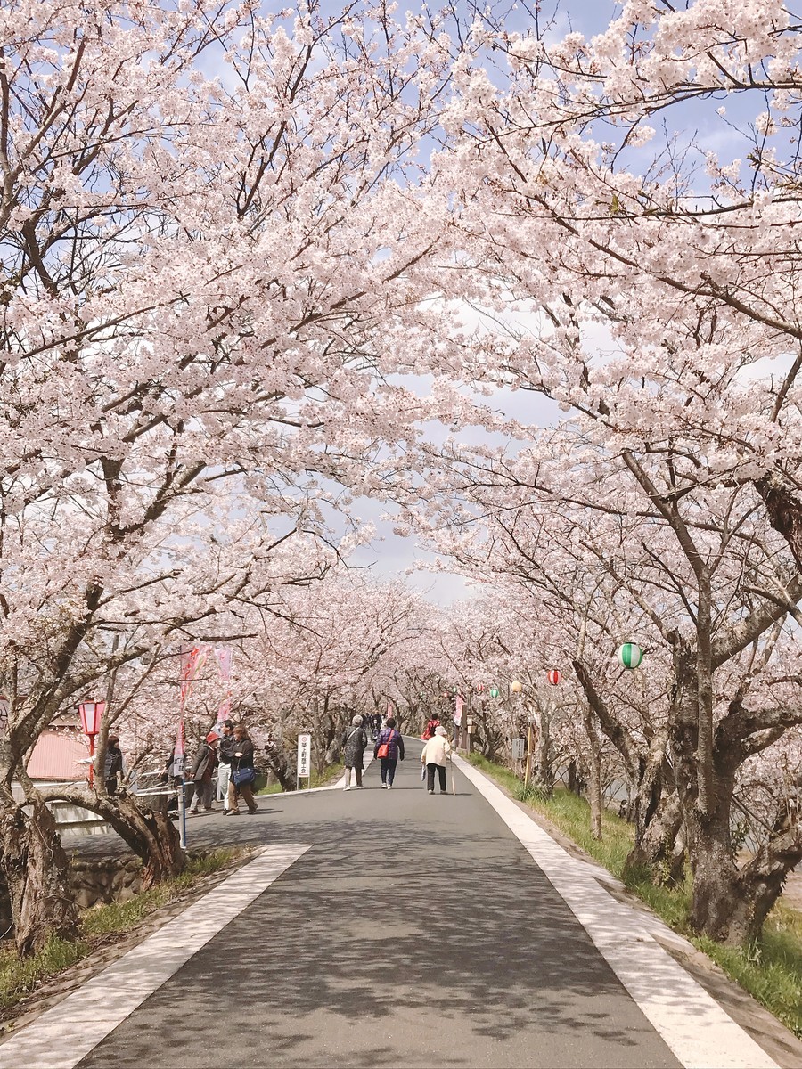 f:id:cutie_blue:20190331115147j:plain f:id:cutie_blue:20190331115147j:plain