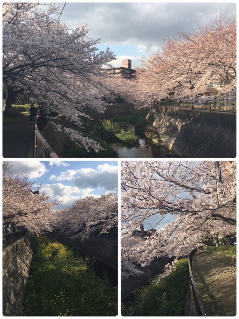 f:id:cutie_blue:20190401163426j:image f:id:cutie_blue:20190401163426j:image