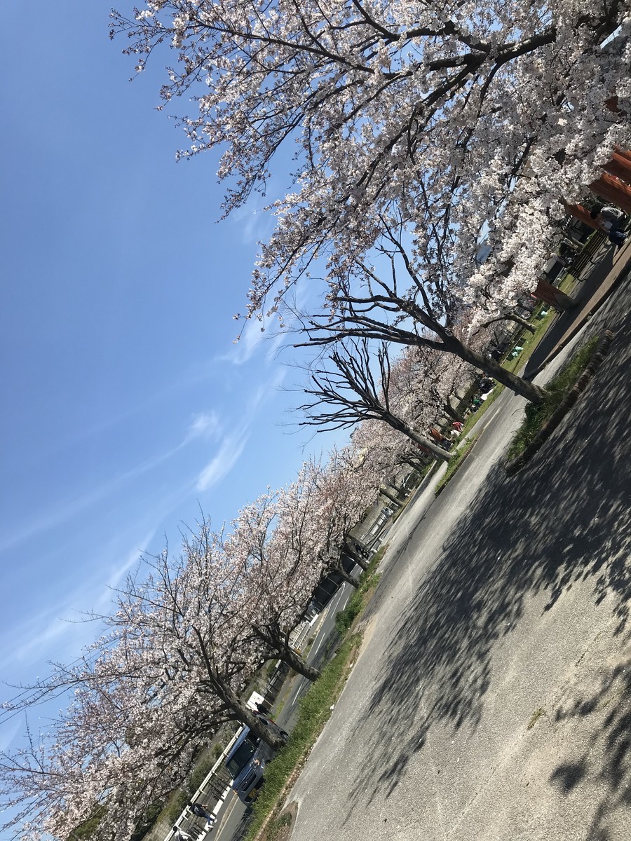 f:id:cutie_blue:20190405145000j:plain