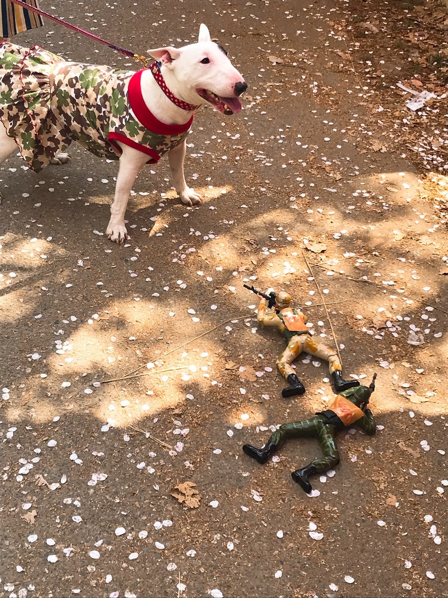 f:id:cutie_blue:20190407131828j:plain