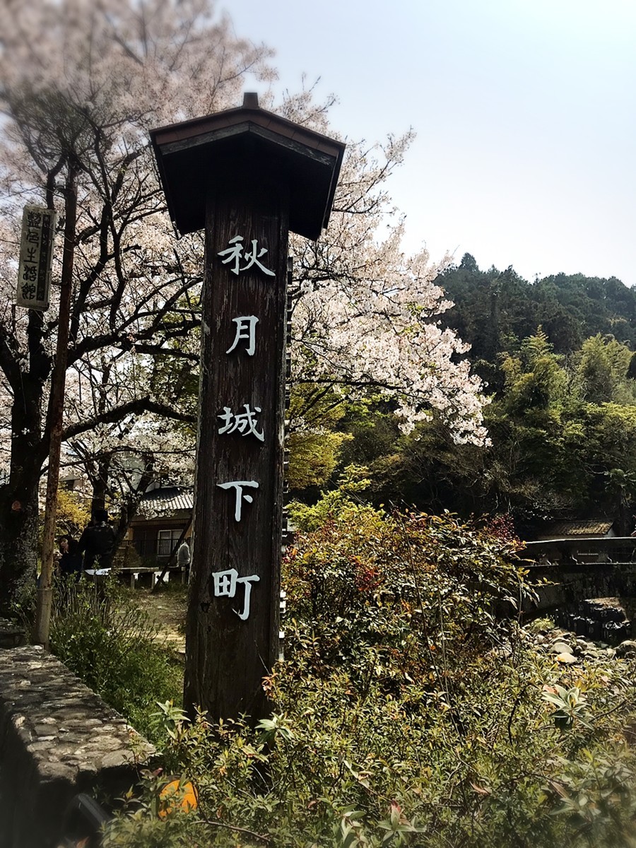 f:id:cutie_blue:20190409112140j:plain