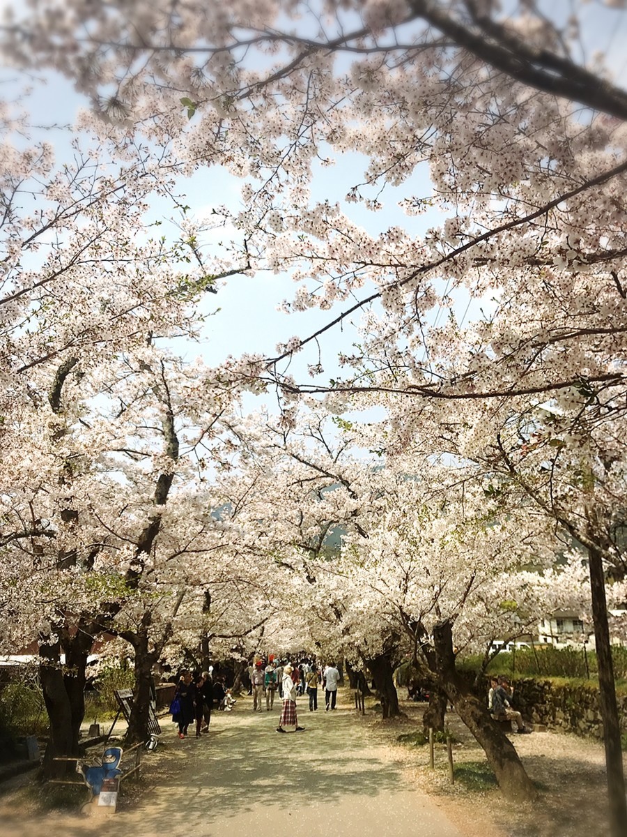 f:id:cutie_blue:20190409112414j:plain