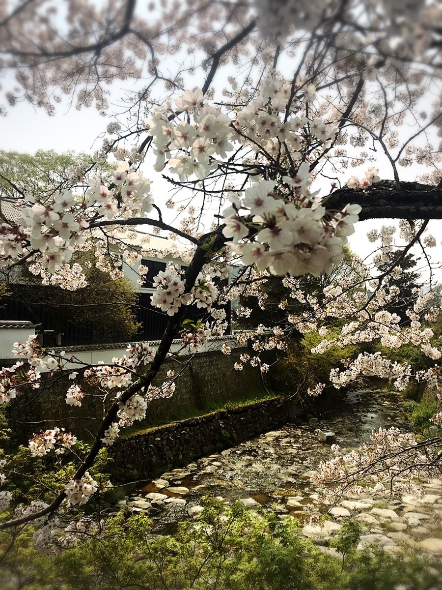 f:id:cutie_blue:20190409114359j:plain