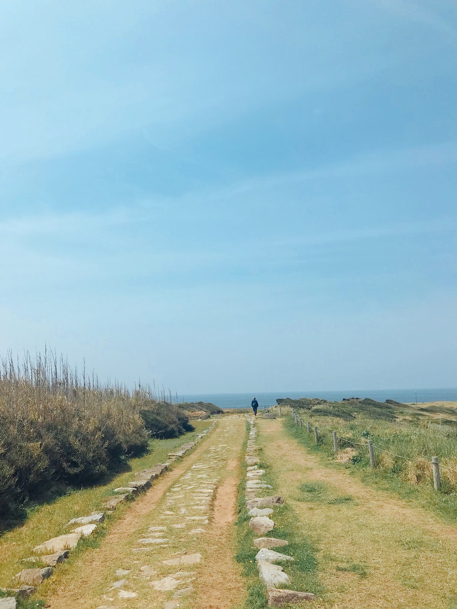 f:id:cutie_blue:20190421122729j:plain f:id:cutie_blue:20190421122729j:plain