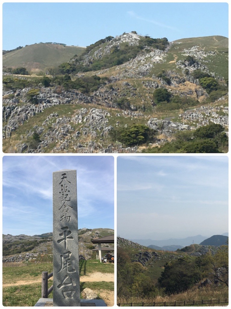 f:id:cutie_blue:20190422131005j:image f:id:cutie_blue:20190422131005j:image