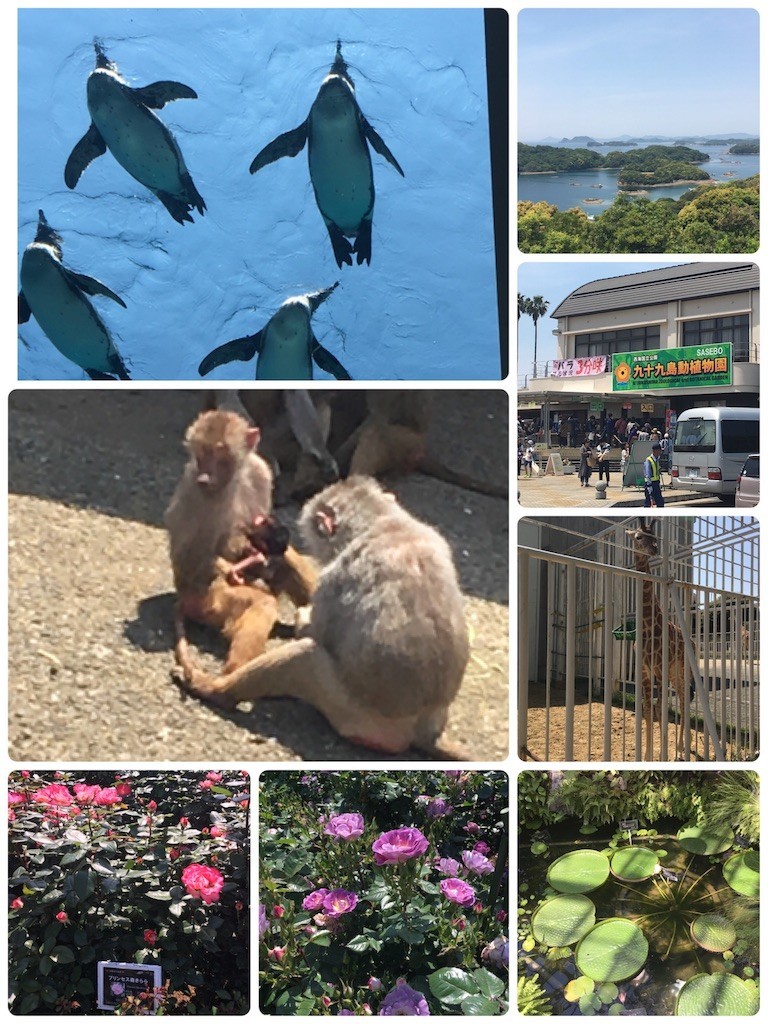 f:id:cutie_blue:20190506085302j:image