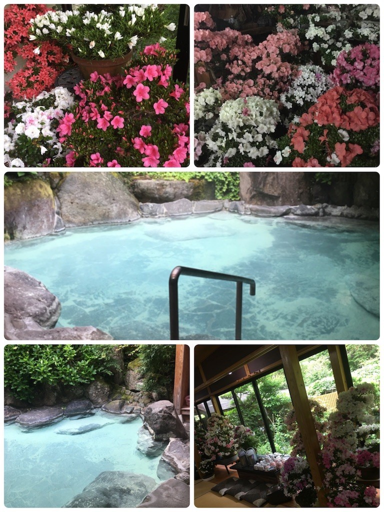 f:id:cutie_blue:20190610161524j:image