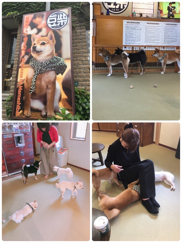 f:id:cutie_blue:20190610162228j:image