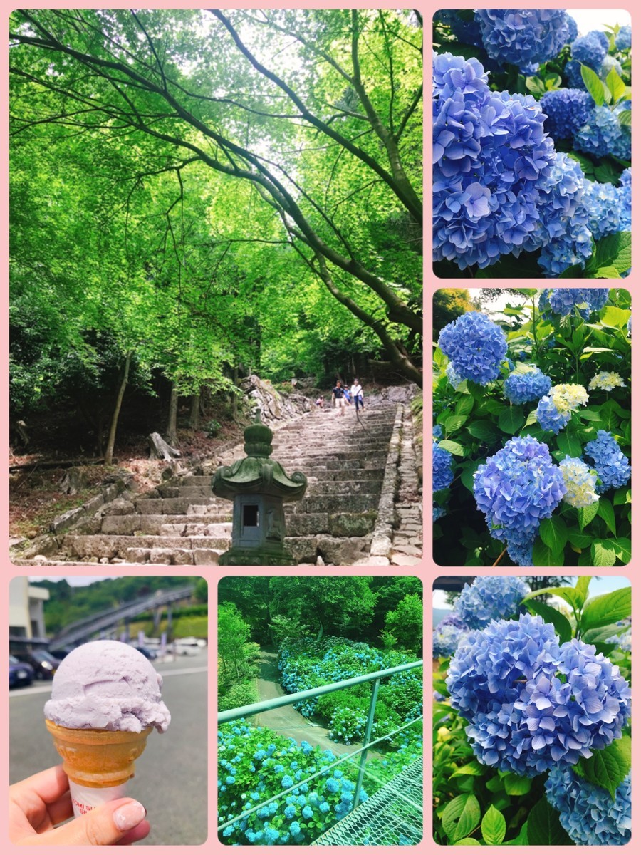 f:id:cutie_blue:20190625110150j:plain