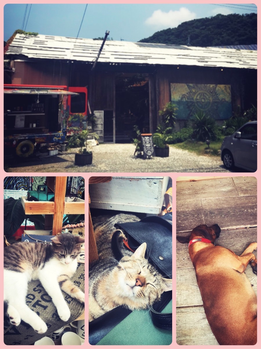 f:id:cutie_blue:20190709112810j:plain
