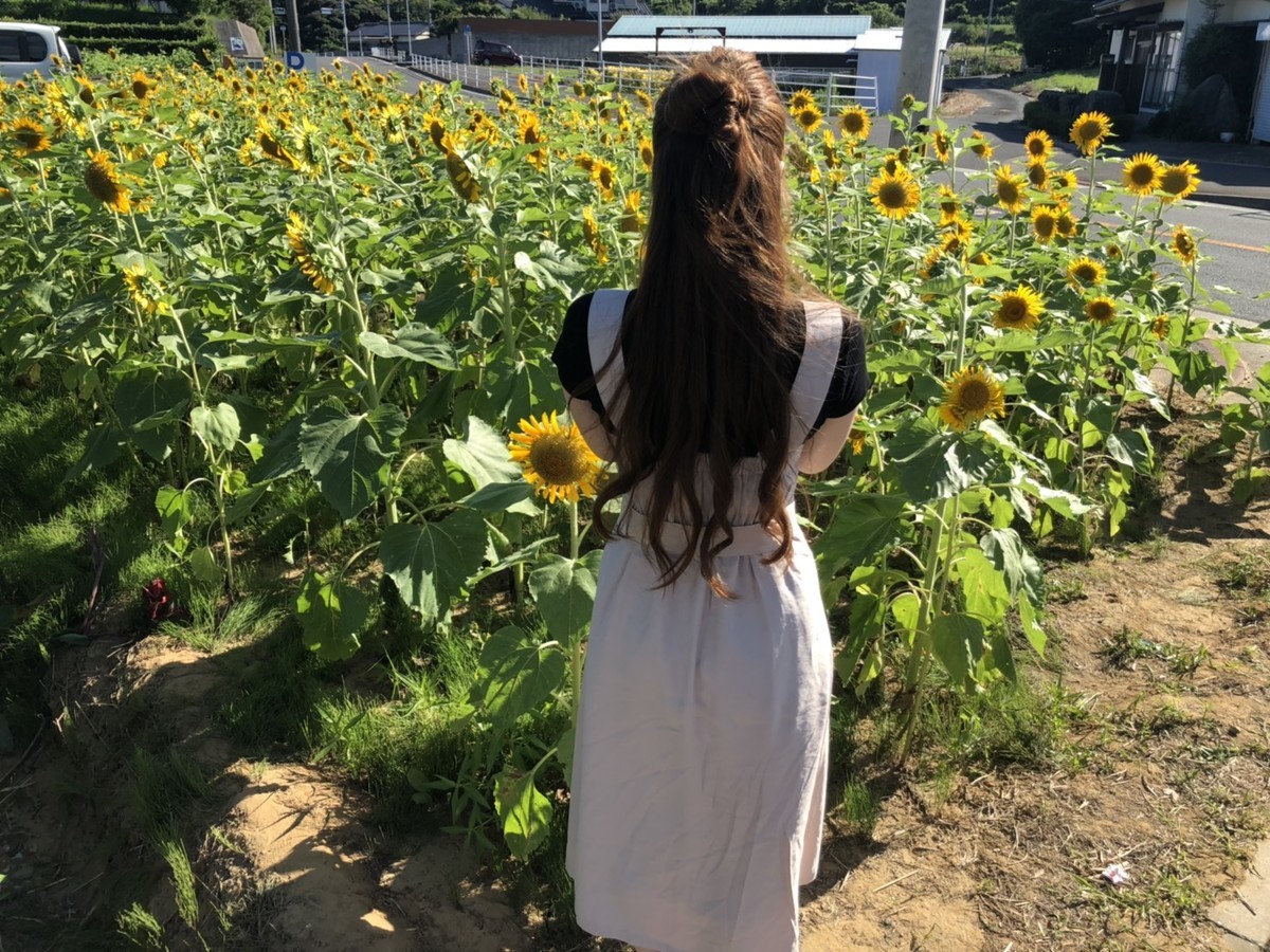 f:id:cutie_blue:20190816152208j:plain f:id:cutie_blue:20190816152208j:plain