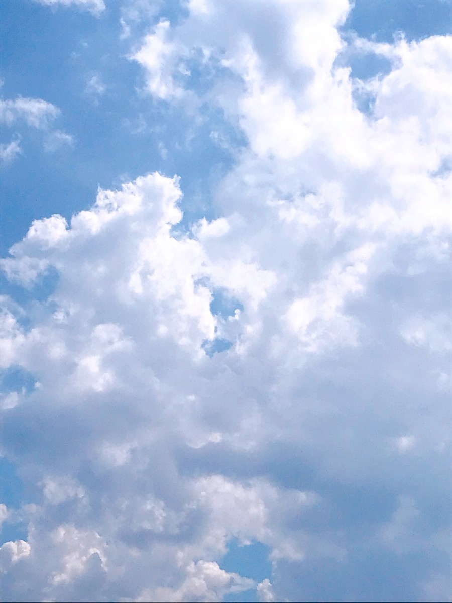 f:id:cutie_blue:20190910114250j:plain f:id:cutie_blue:20190910114250j:plain
