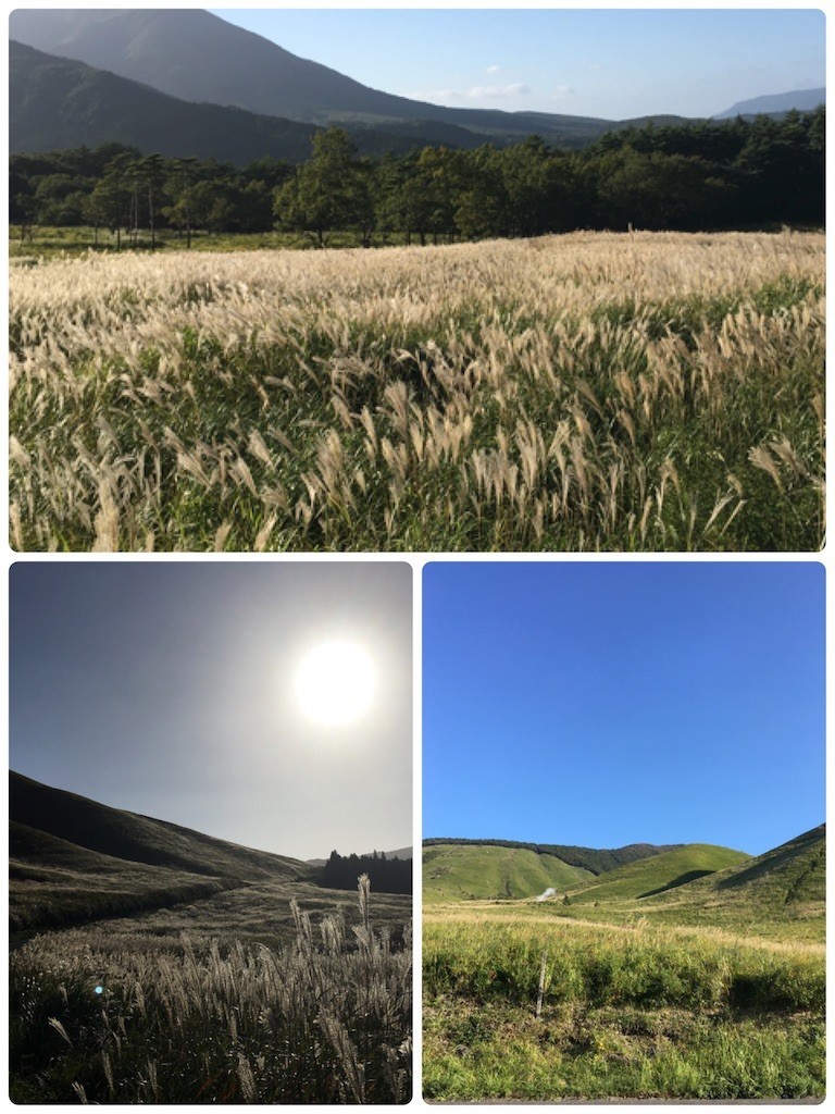 f:id:cutie_blue:20191014172313j:image f:id:cutie_blue:20191014172313j:image