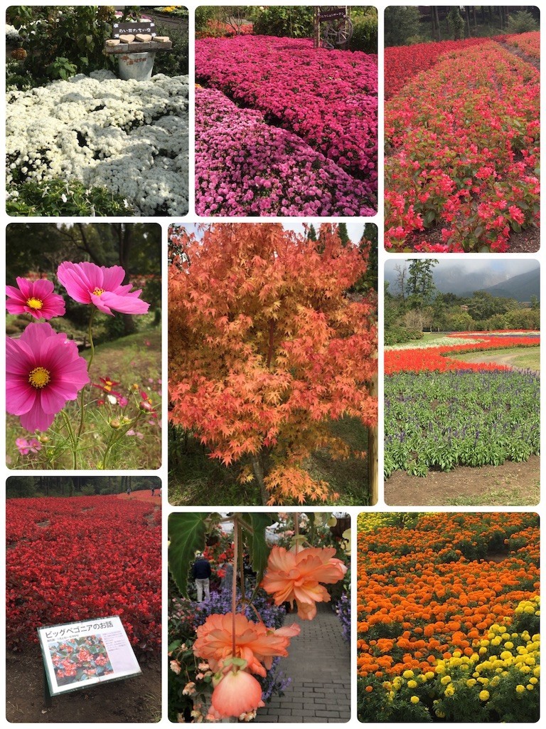 f:id:cutie_blue:20191014173211j:image f:id:cutie_blue:20191014173211j:image