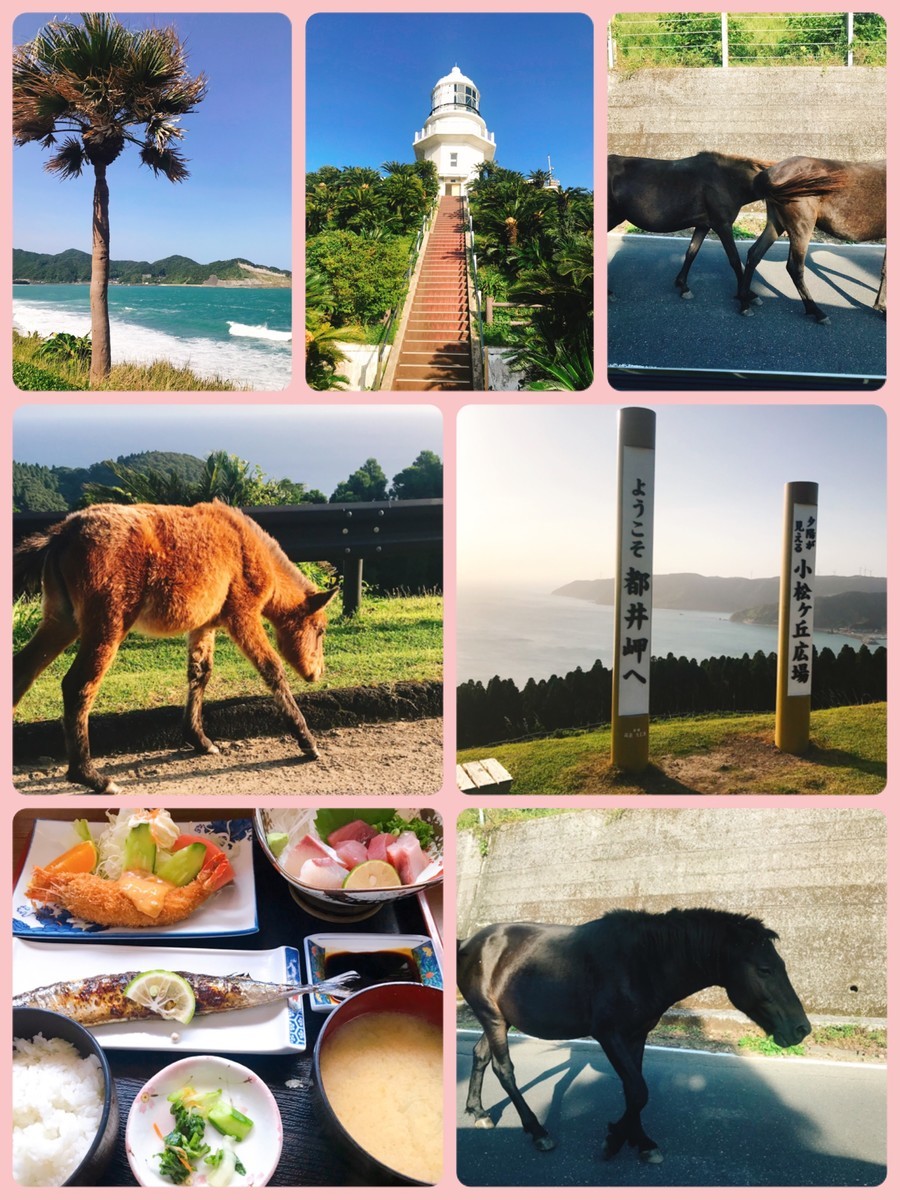 f:id:cutie_blue:20191015120244j:plain f:id:cutie_blue:20191015120244j:plain