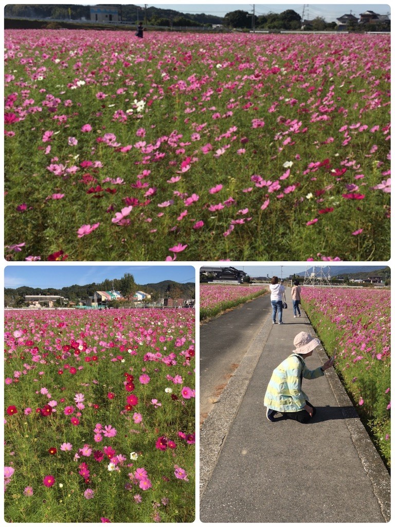 f:id:cutie_blue:20191021121434j:image f:id:cutie_blue:20191021121434j:image