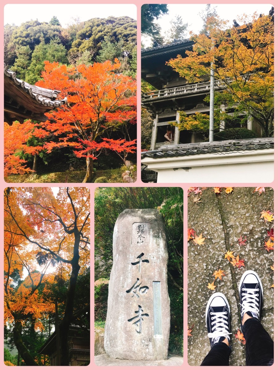 f:id:cutie_blue:20191112110044j:plain f:id:cutie_blue:20191112110044j:plain