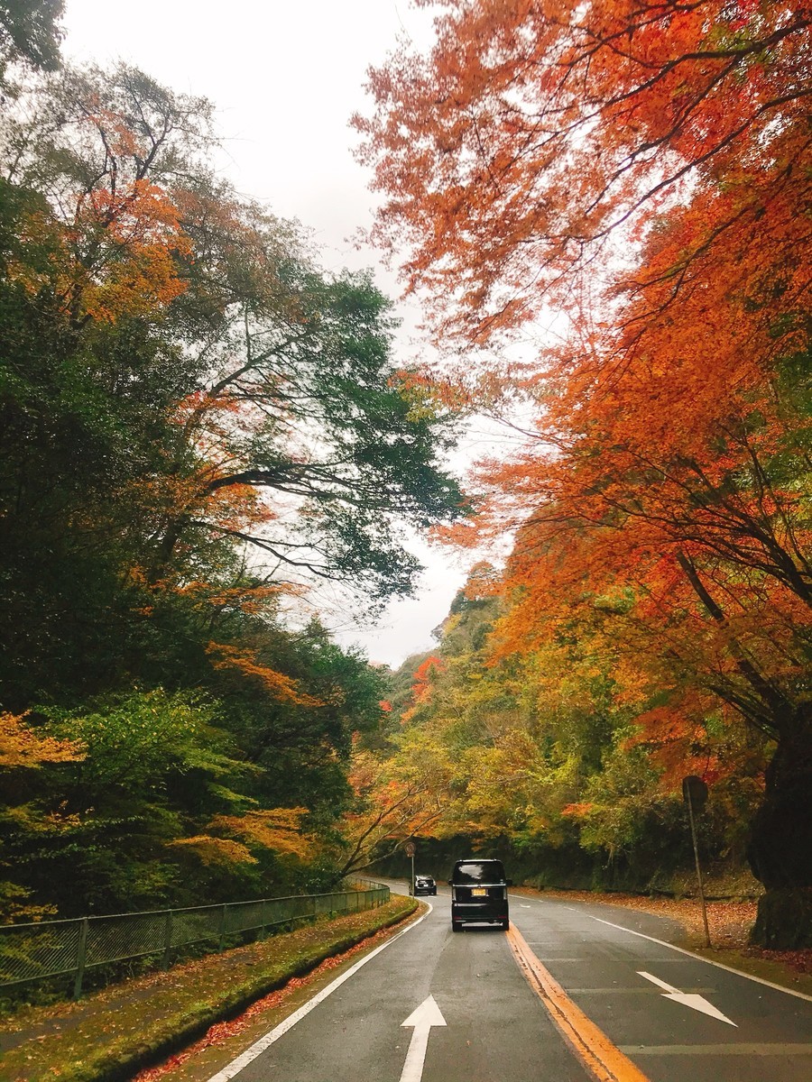 f:id:cutie_blue:20191119121505j:plain