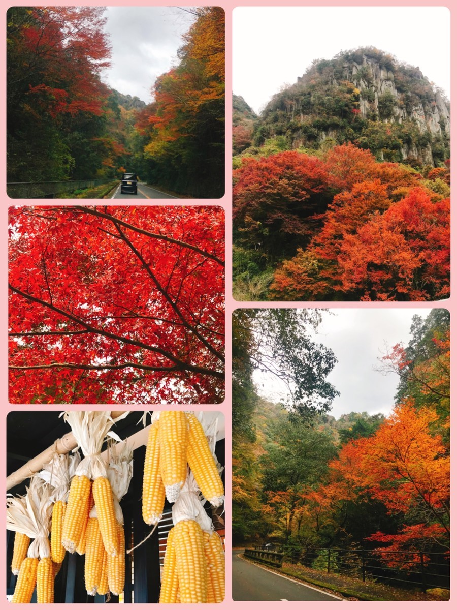 f:id:cutie_blue:20191119124225j:plain