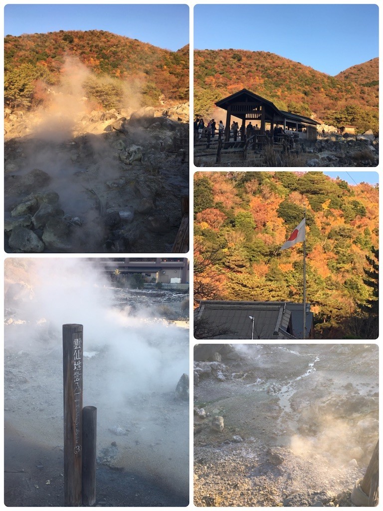 f:id:cutie_blue:20191125164248j:image f:id:cutie_blue:20191125164248j:image