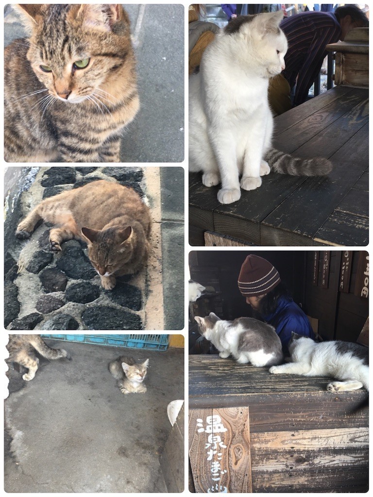 f:id:cutie_blue:20191125164443j:image f:id:cutie_blue:20191125164443j:image