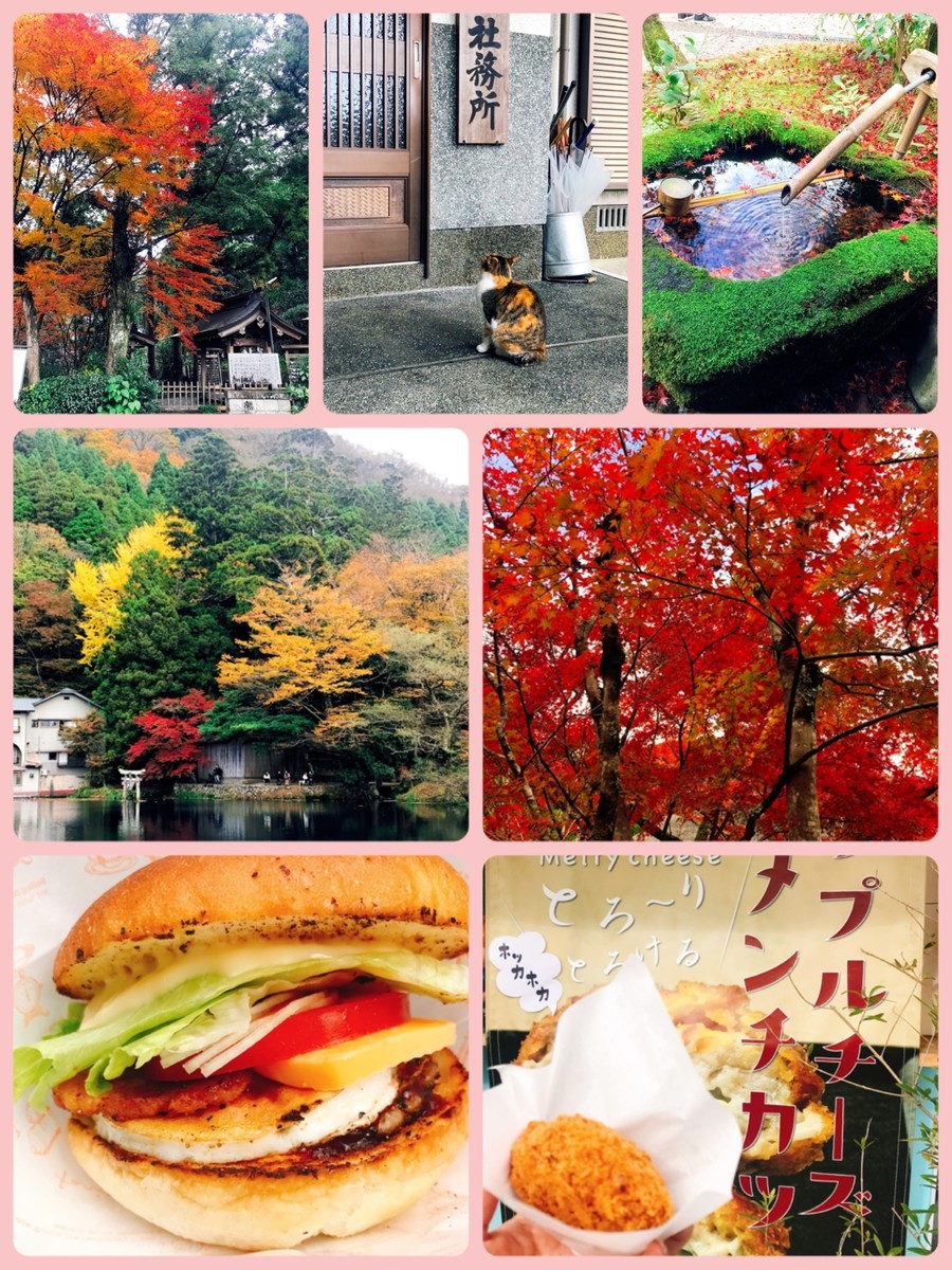 f:id:cutie_blue:20191126120718j:plain