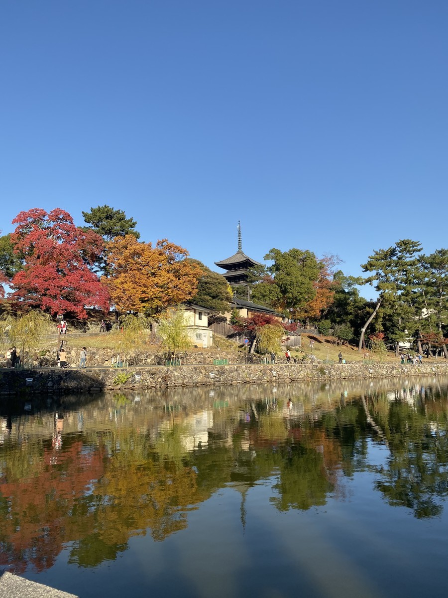 f:id:cutie_blue:20191129154349j:plain f:id:cutie_blue:20191129154349j:plain