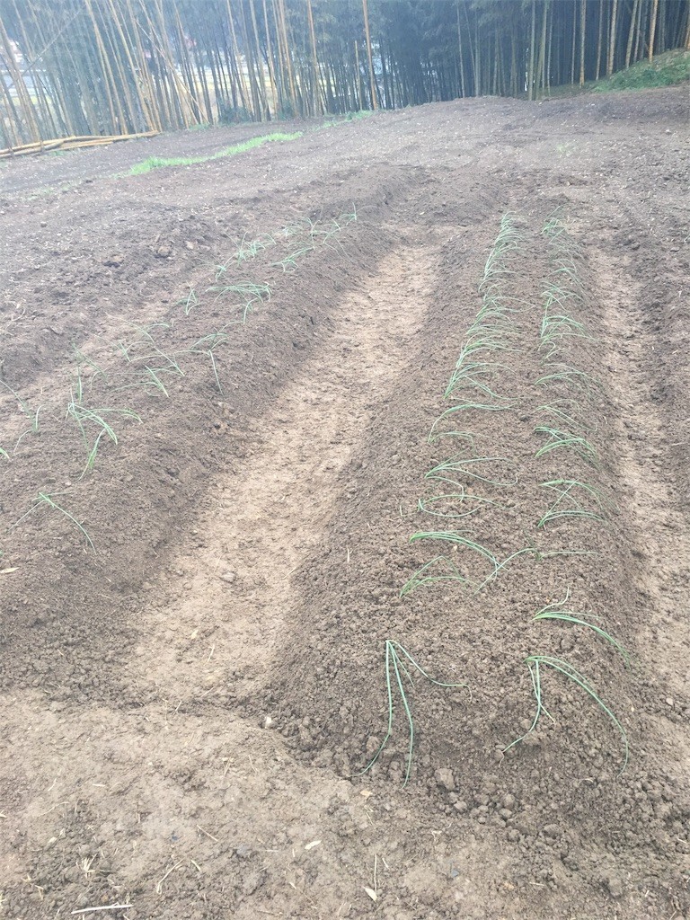 f:id:cutie_blue:20191209110343j:image