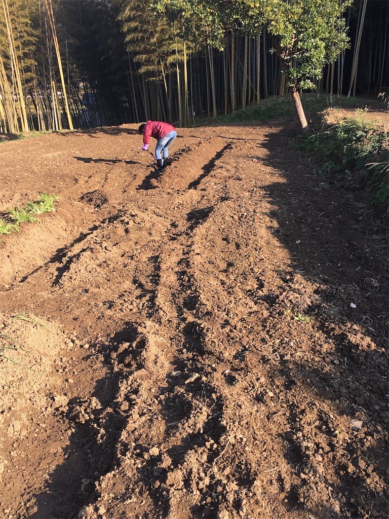 f:id:cutie_blue:20191209150056j:image