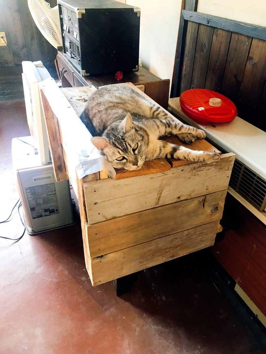 f:id:cutie_blue:20191210111113j:plain f:id:cutie_blue:20191210111113j:plain