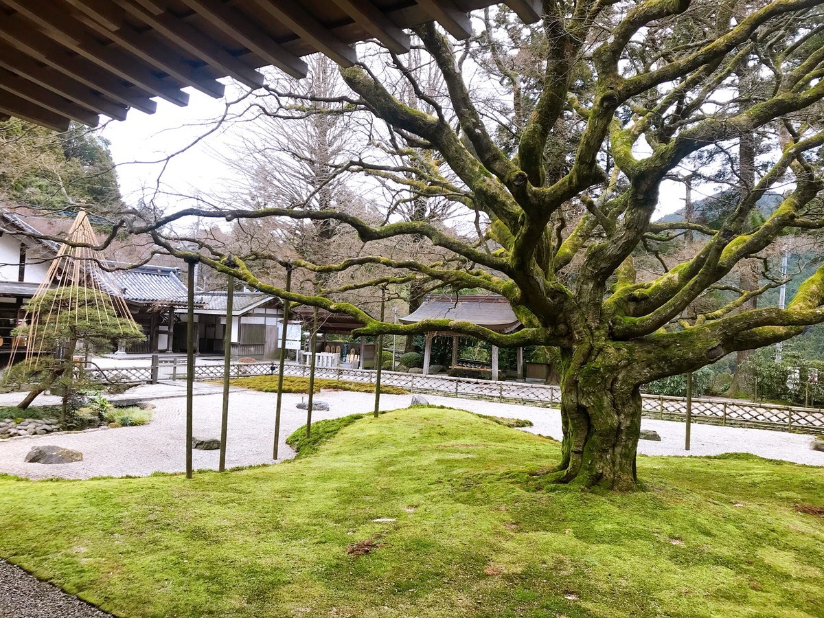 f:id:cutie_blue:20191231142926j:plain