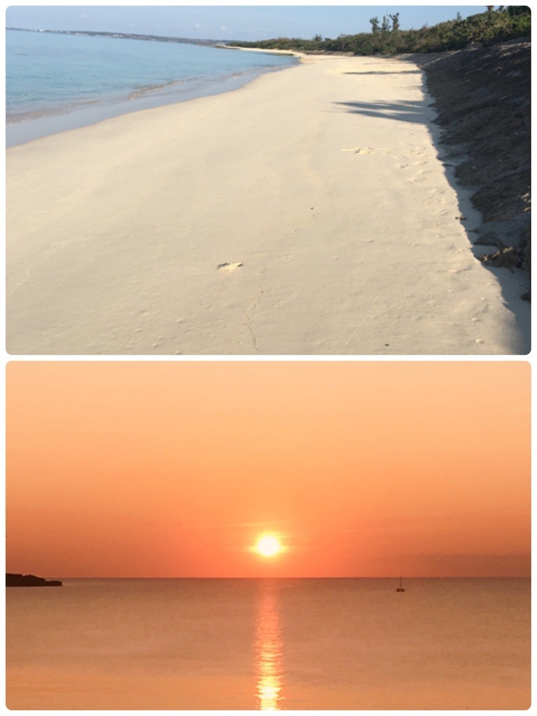 f:id:cutie_blue:20200106110613j:image