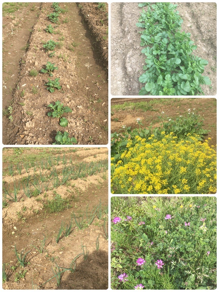 f:id:cutie_blue:20200330132514j:image f:id:cutie_blue:20200330132514j:image