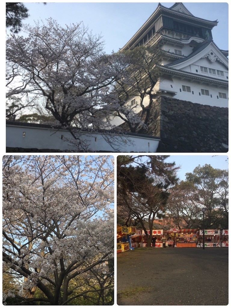 f:id:cutie_blue:20200330133935j:image f:id:cutie_blue:20200330133935j:image