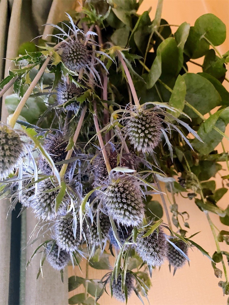 f:id:cutie_blue:20200609170725j:image