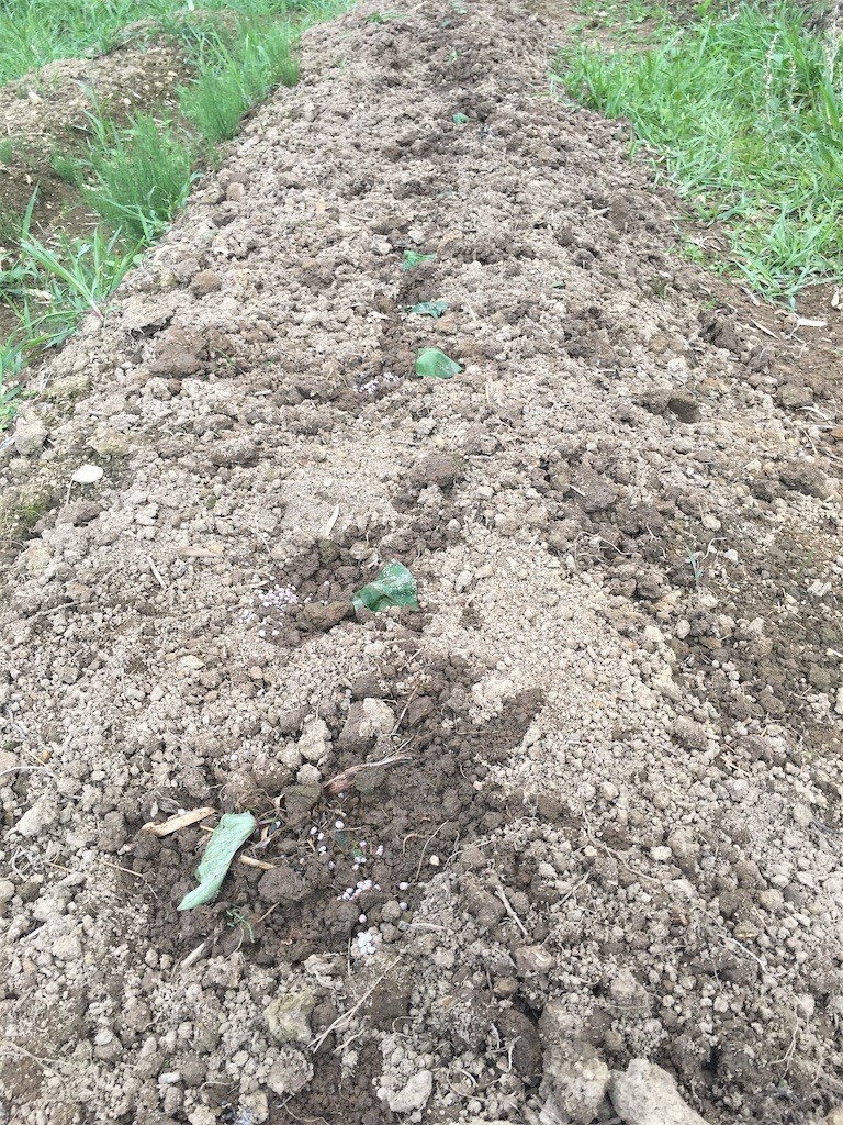 f:id:cutie_blue:20200615180349j:image