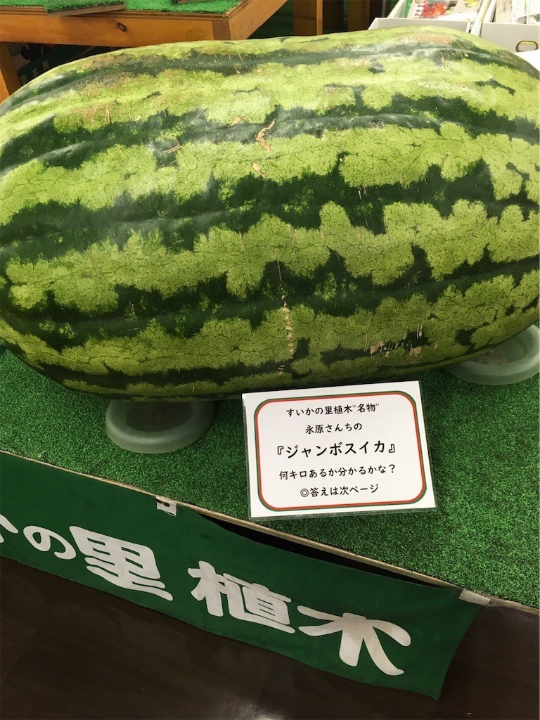 f:id:cutie_blue:20200727160156j:image f:id:cutie_blue:20200727160156j:image