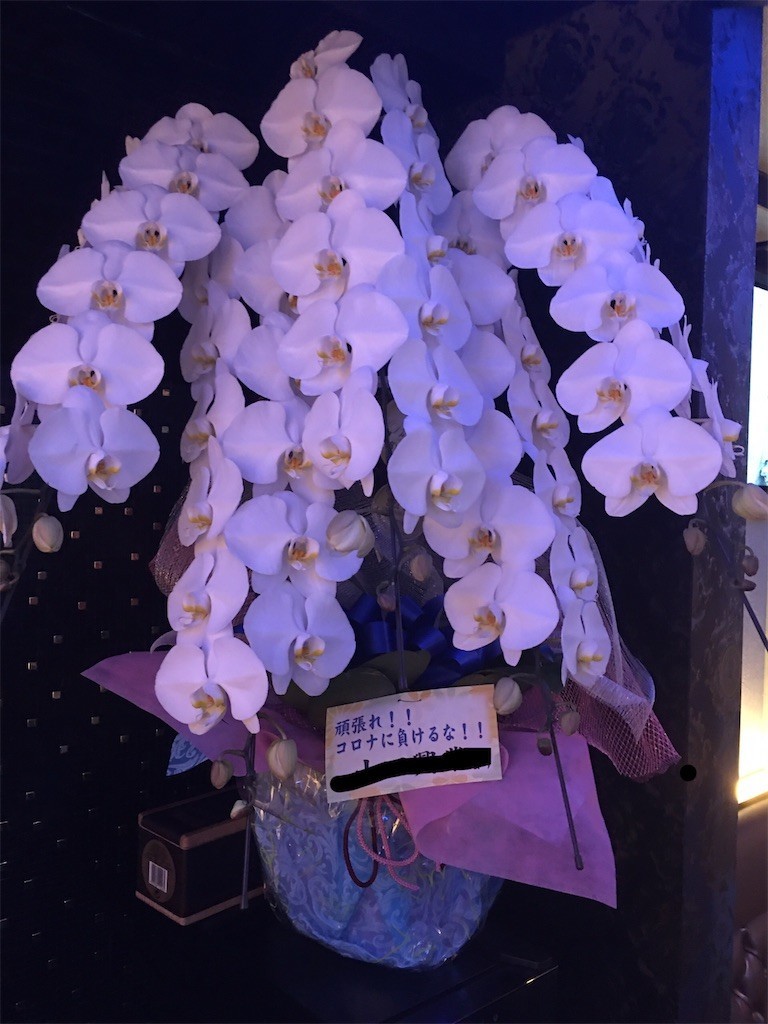 f:id:cutie_blue:20200831155344j:image