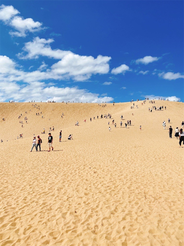 f:id:cutie_blue:20200922171721j:image