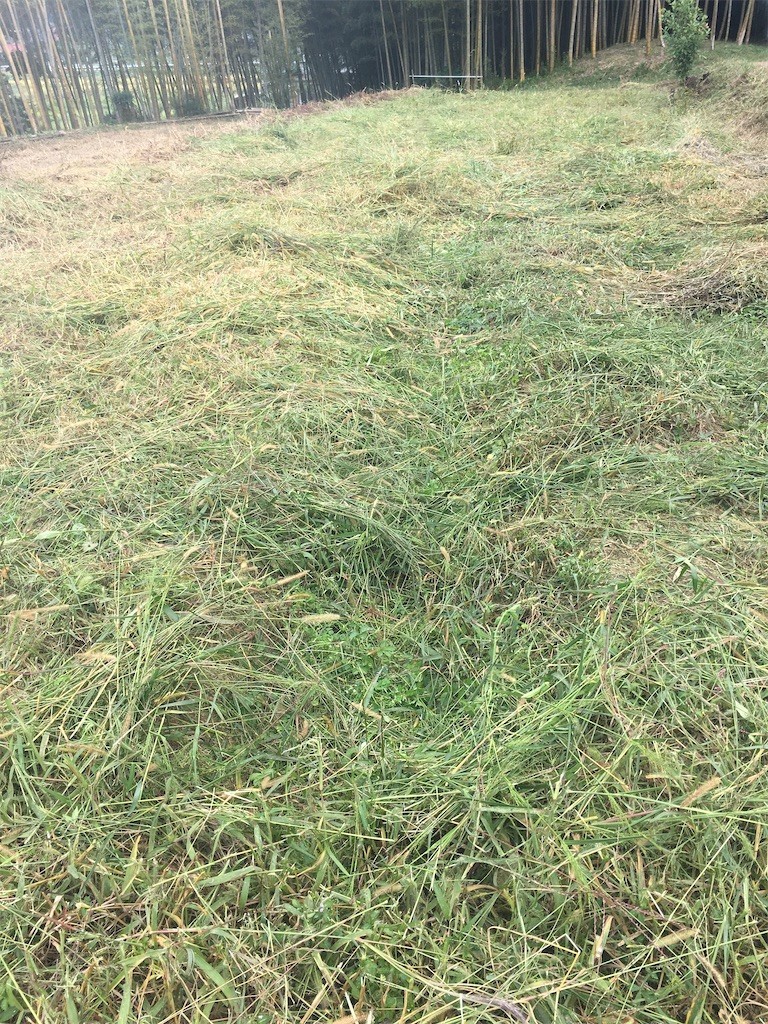 f:id:cutie_blue:20201005135956j:image f:id:cutie_blue:20201005135956j:image