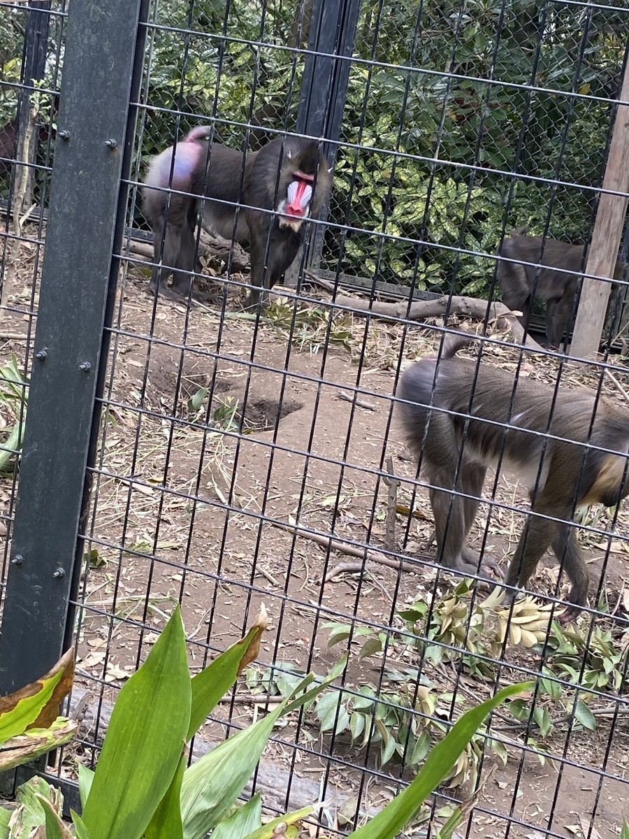 f:id:cutie_blue:20201016144725j:plain