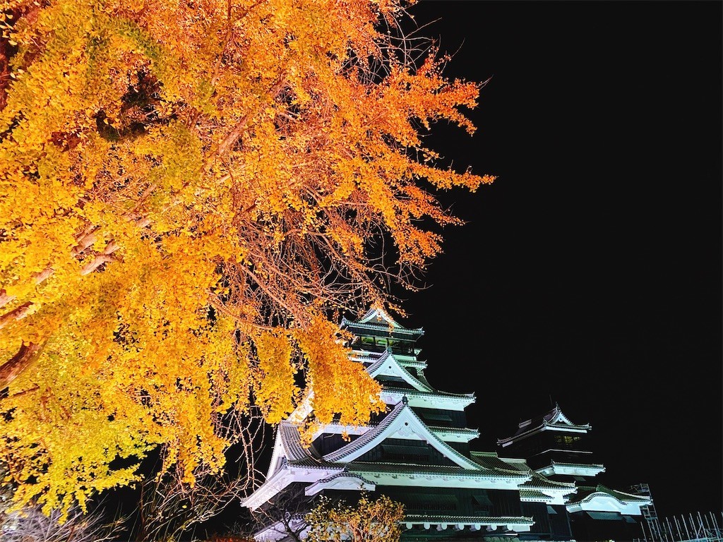 f:id:cutie_blue:20201124133231j:image f:id:cutie_blue:20201124133231j:image