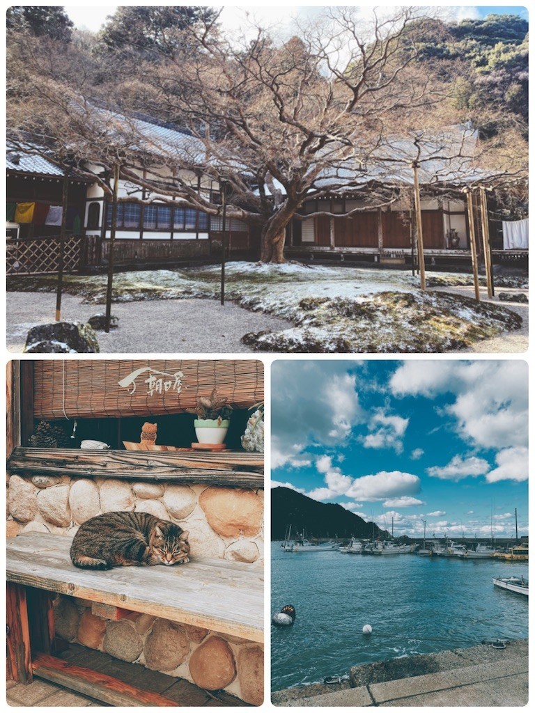 f:id:cutie_blue:20210105111438j:image f:id:cutie_blue:20210105111438j:image