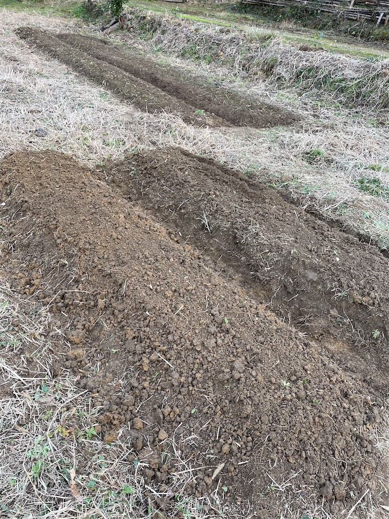 f:id:cutie_blue:20210125181611j:image f:id:cutie_blue:20210125181611j:image